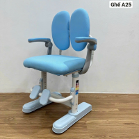 Ghế Học Sinh Chống Gù Điều Chỉnh - BGHS18