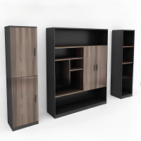 Tủ Tài Liệu Phong Cách Cao Cấp - THS185