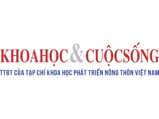 Kinh nghiệm chọn vật liệu cho bàn ghế văn phòng