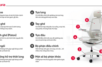 Khám Phá Cấu Tạo Ghế Xoay Văn Phòng: Bí Mật Đằng Sau Sự Thoải Mái