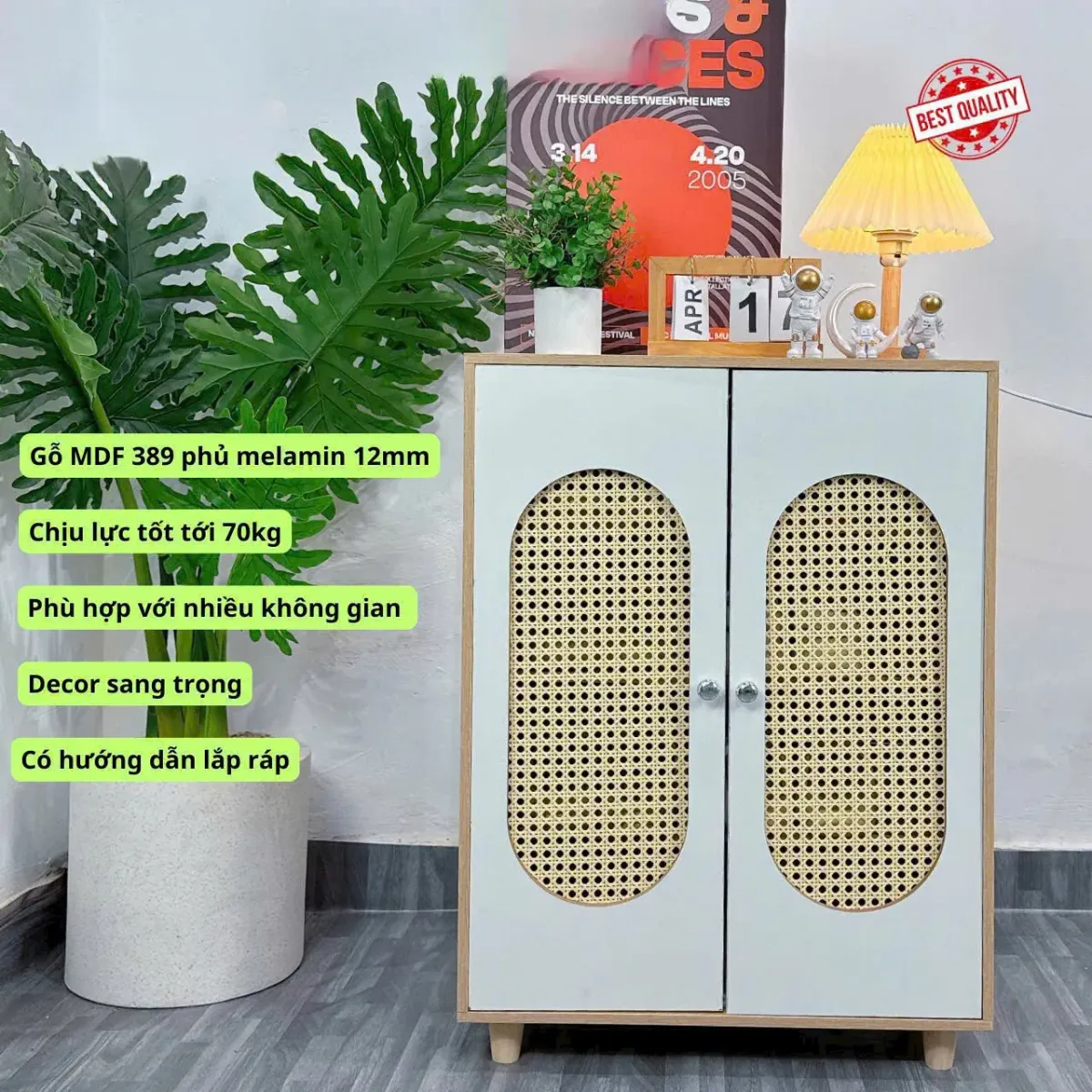 Kệ Giày Dép Cửa Lưới Mây Hiện Đại 