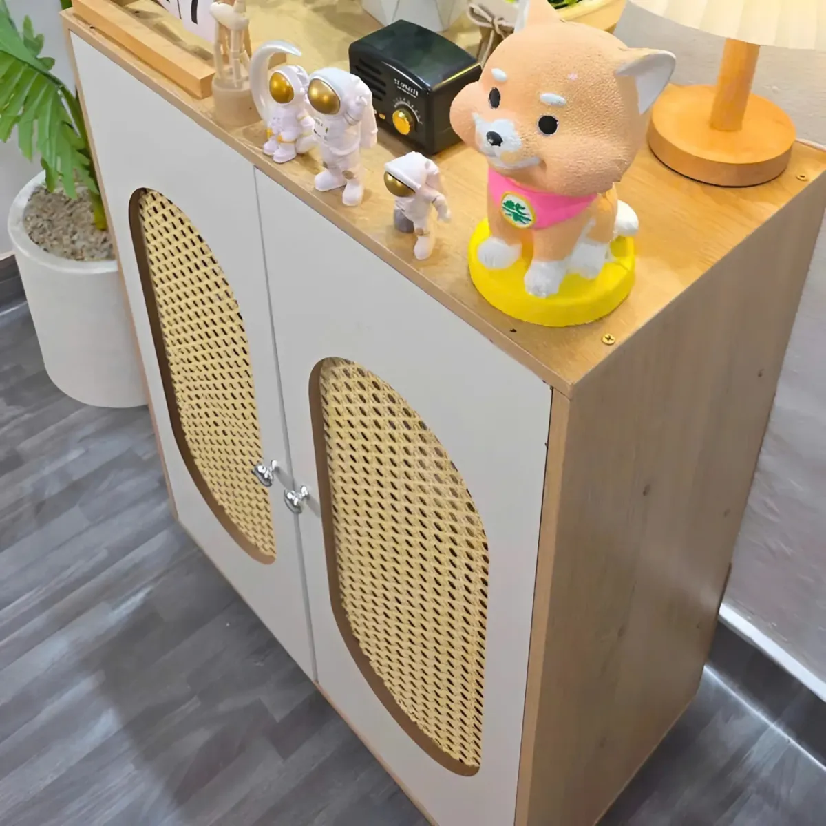 Kệ Giày Dép Cửa Lưới Mây Hiện Đại 
