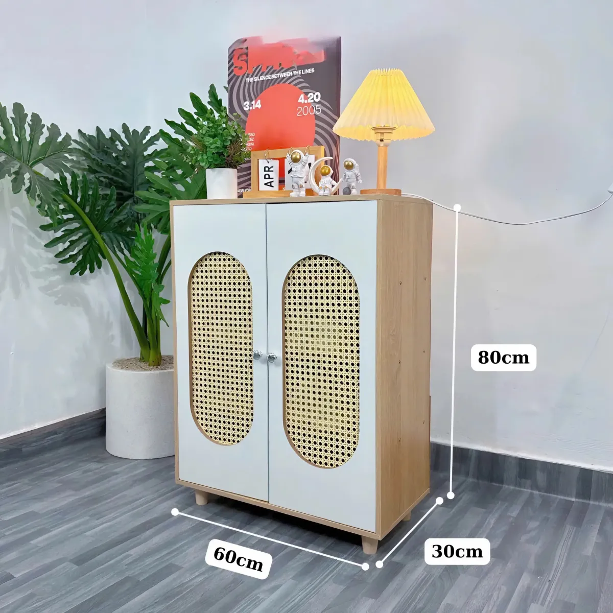 Kệ Giày Dép Cửa Lưới Mây Hiện Đại 