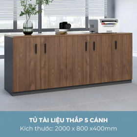 Tủ Tài Liệu Thấp 5 Cánh - THS272