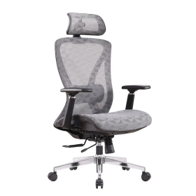 Ghế Công Thái Học Ergonomic - GX73