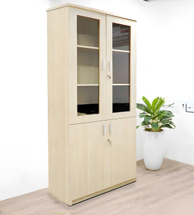 Tủ Văn Phòng 2 Cánh Tiện Lợi - THS248