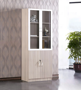 Tủ Tài Liệu 2 Cánh Kính - THS264