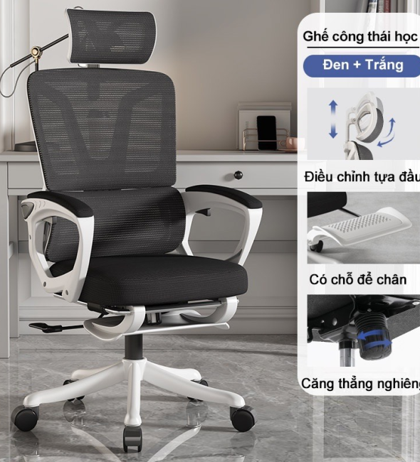 Ghế Công Thái Học Lưng Ghép - CTH8
