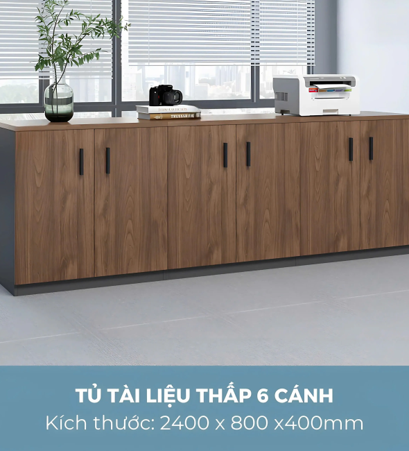 Tủ Tài Liệu Trung 6 Cánh Hiện Đại - THS272