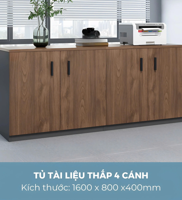 Tủ Tài Liệu Trung 2 Cánh Mở - THS270
