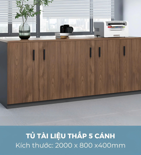 Tủ Tài Liệu Trung Giá Tốt HCM - THS271
