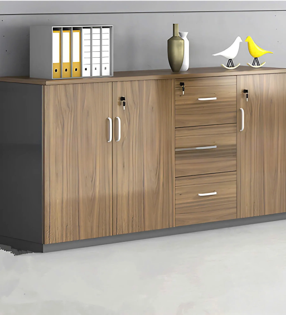 Tủ Tài Liệu Thấp Nhiều Hộc Tiện Lợi - THS216
