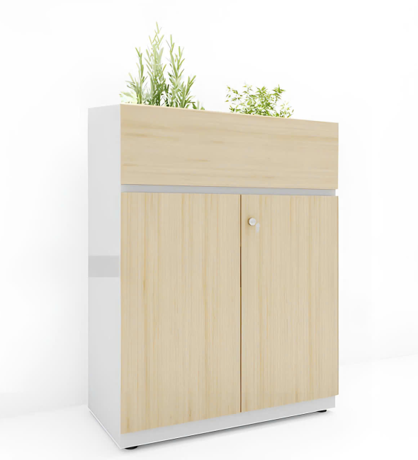 Tủ Tài Liệu Trang Trí Cây Xanh Đẹp - THS163