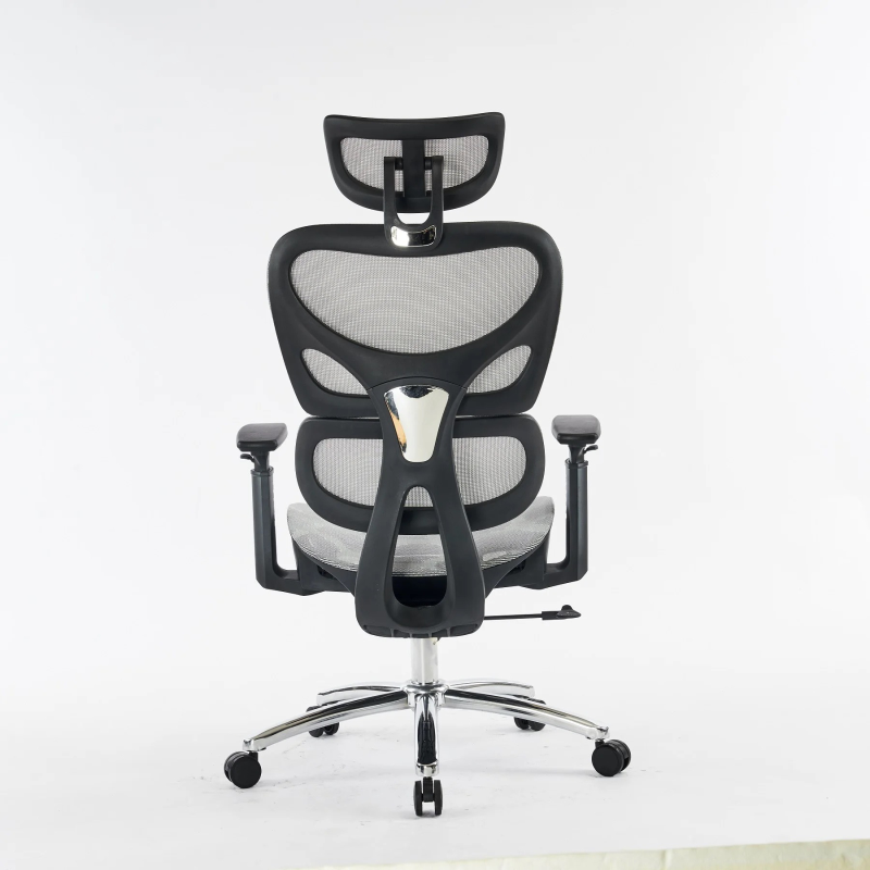 Ghế Công Thái Học Đệm Lưng Êm Ái - CTH17
