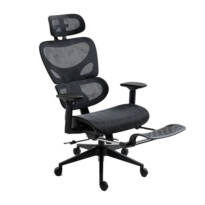 Ghế Công Thái Học Đệm Lưng Êm Ái - CTH17