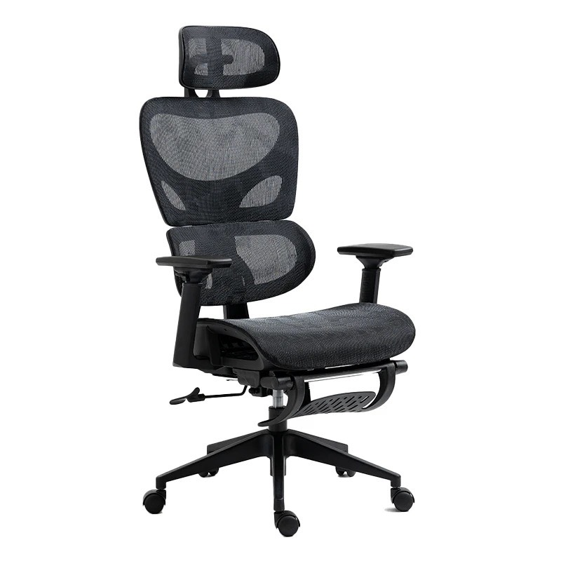 Ghế Công Thái Học Đệm Lưng Êm Ái - CTH17