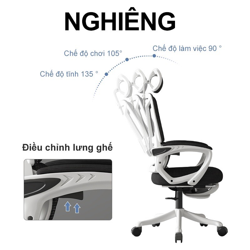 Ghế Công Thái Học Lưng Ghép - CTH8