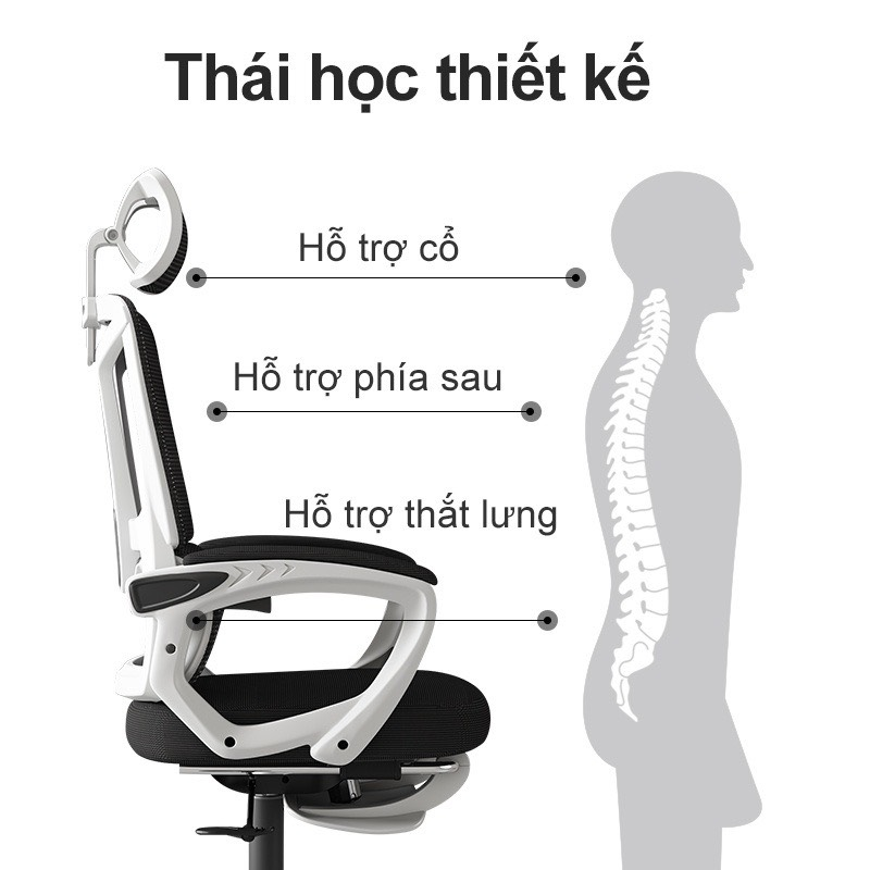 Ghế Công Thái Học Lưng Ghép - CTH8