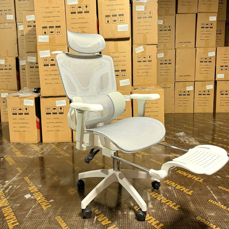 Ghế Công Thái Học Hỗ Trợ Cột Sống Cao Cấp - CTH26