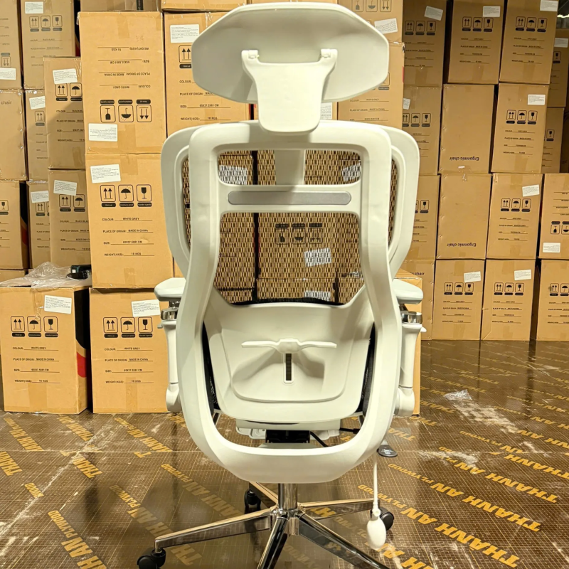 Ghế Công Thái Học LIKE REGA Lưng Lưới Êm Ái - CTH27