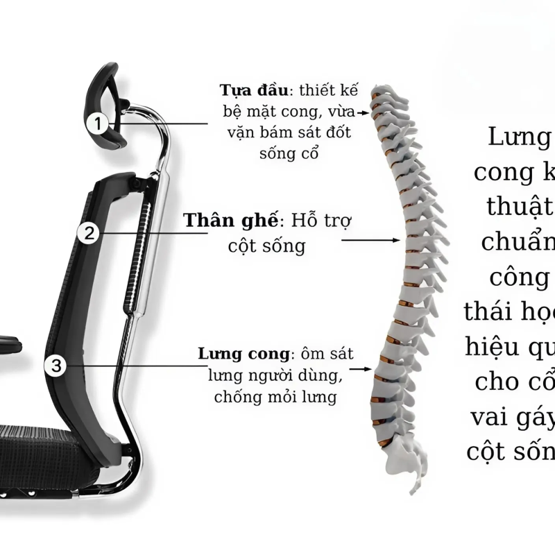 Ghế Lưới Công Thái Học Với Tựa Đầu Điều Chỉnh - CTH29 