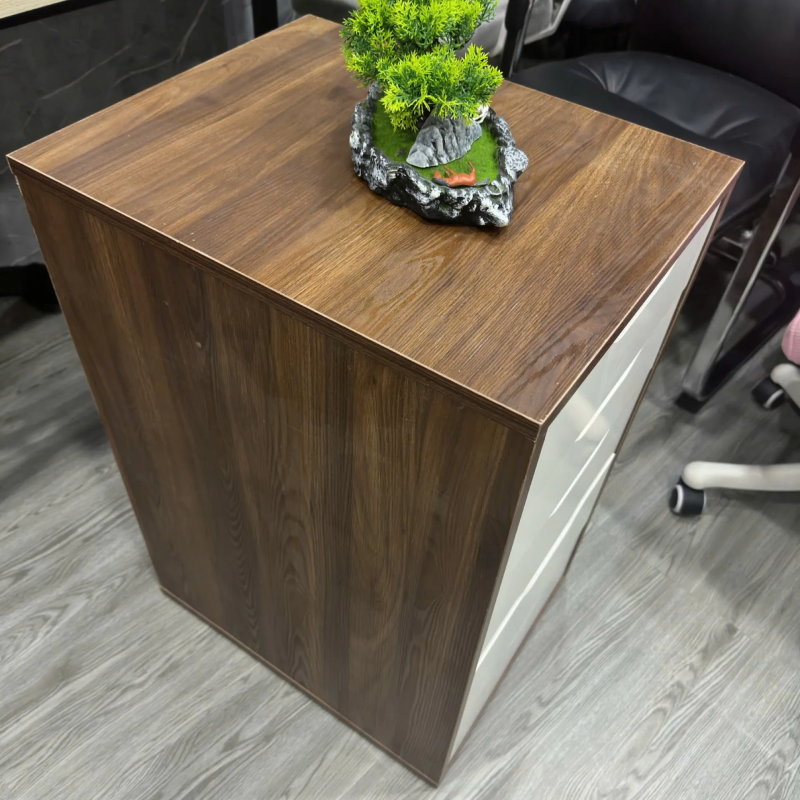 Hộc Tủ IKEA 5 Ngăn Tiện Lợi - TP52 