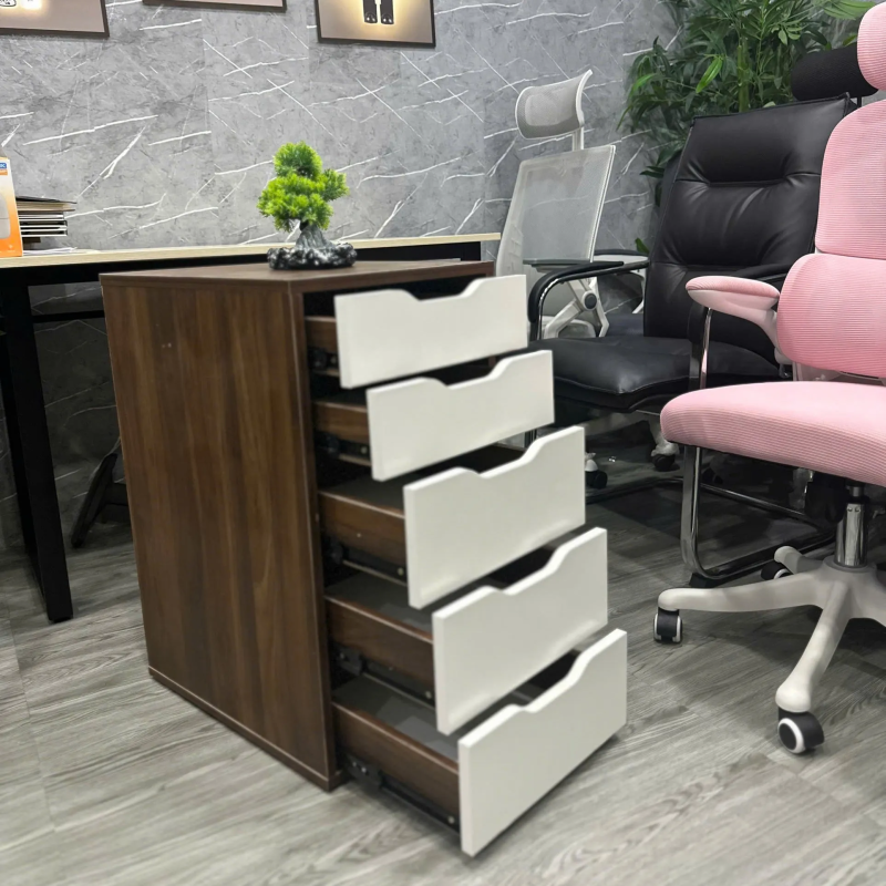 Hộc Tủ IKEA 5 Ngăn Tiện Lợi - TP52 