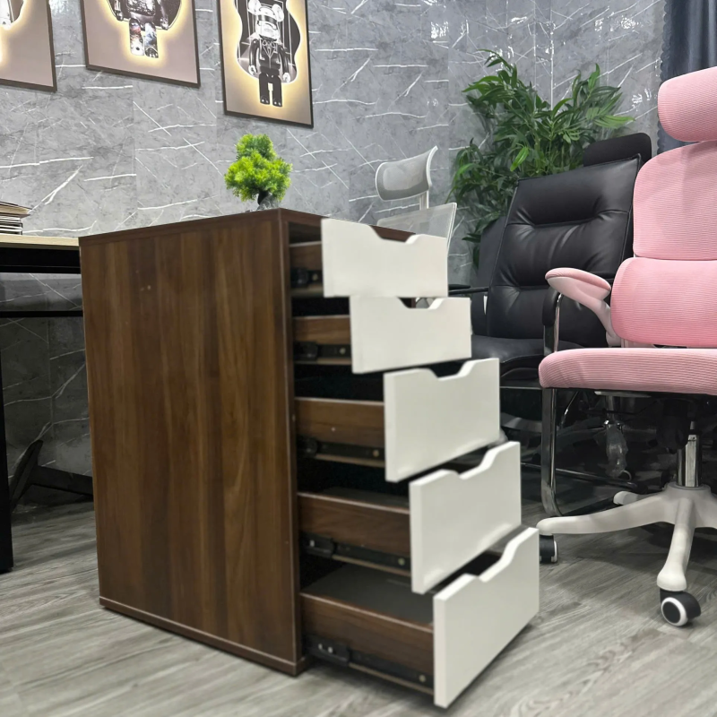 Hộc Tủ IKEA 5 Ngăn Tiện Lợi - TP52 