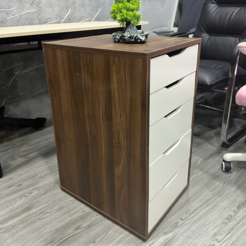 Hộc Tủ IKEA 5 Ngăn Tiện Lợi - TP52 