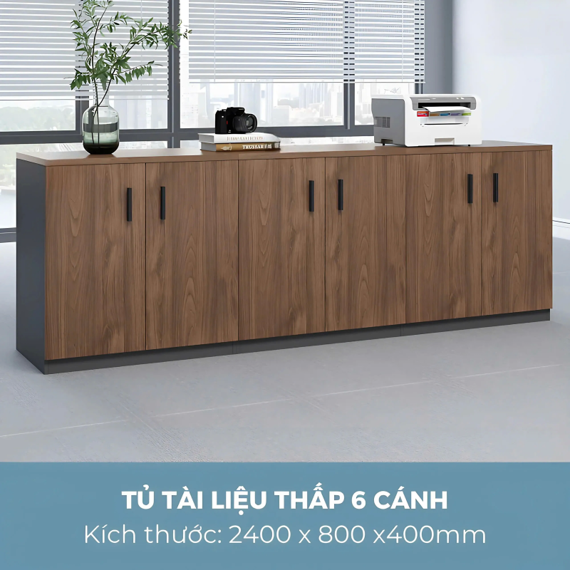 Tủ Tài Liệu Thấp 6 Cánh - THS273