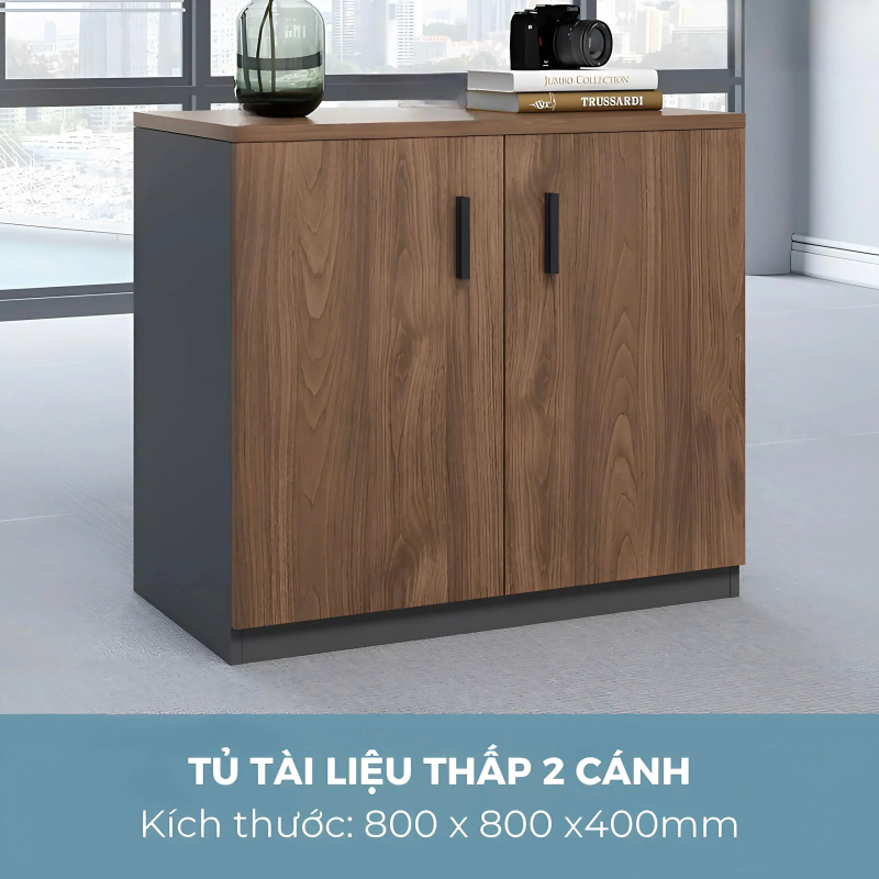 Tủ Tài Liệu Thấp 2 Cánh - THS274