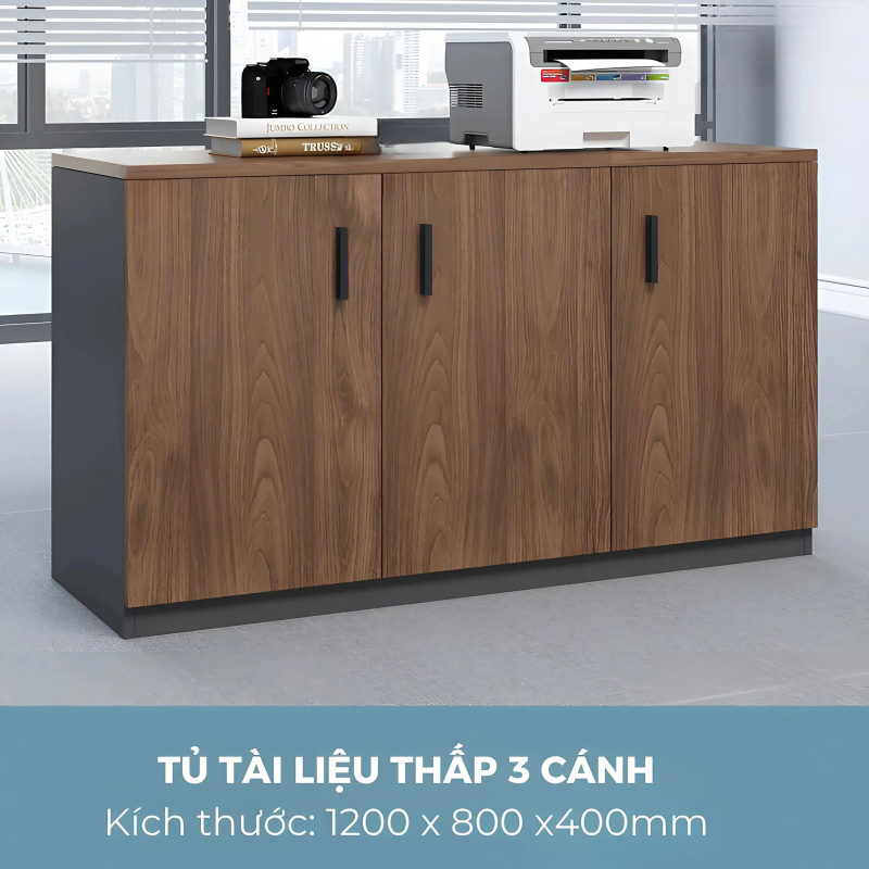 Tủ Tài Liệu Thấp 3 Cánh Tiện Lợi - THS269