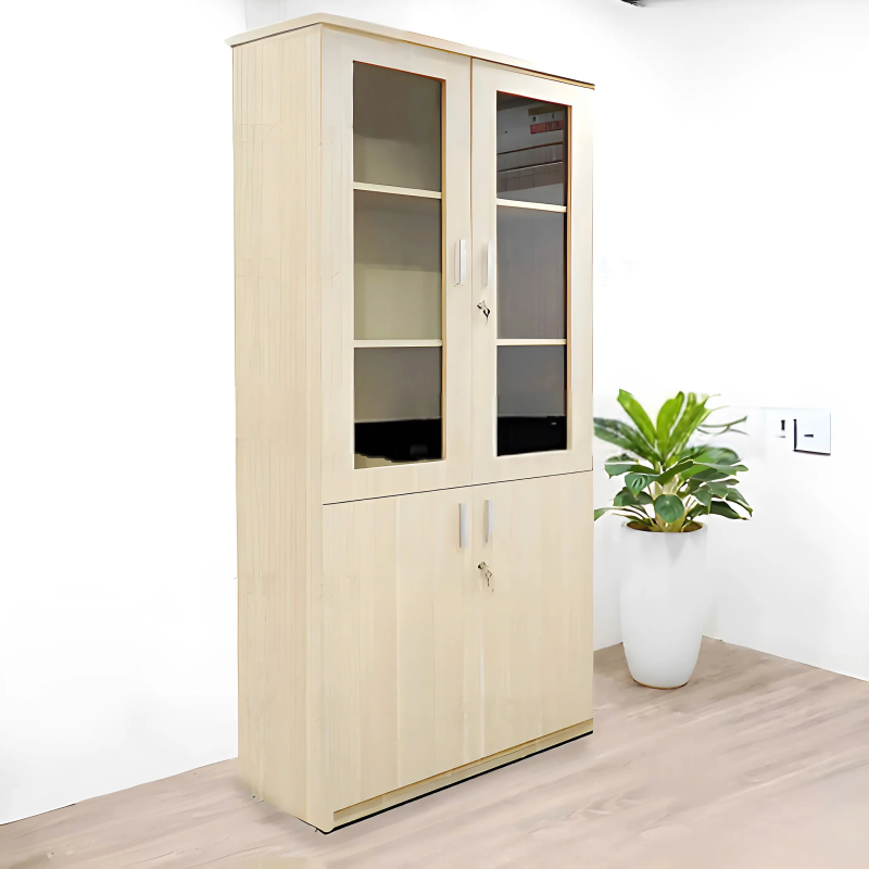 Tủ Văn Phòng 2 Cánh Tiện Lợi - THS248