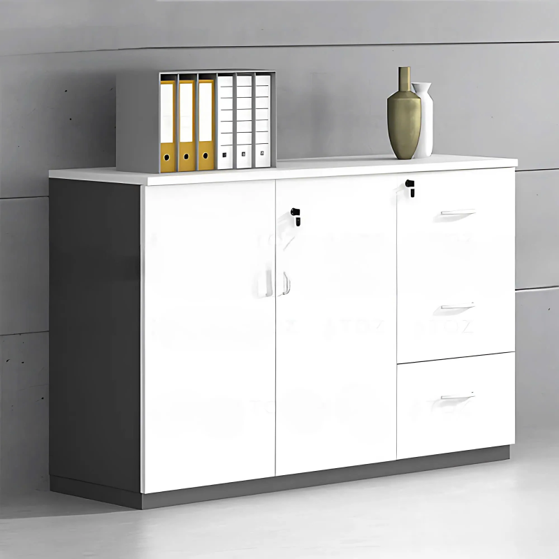 Tủ Tài Liệu Dạng Lửng Đẹp - THS218