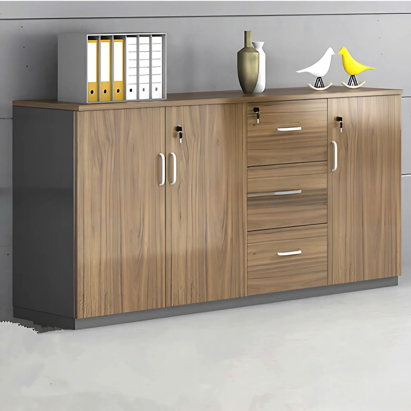 Tủ Tài Liệu Thấp Nhiều Hộc Tiện Lợi - THS216