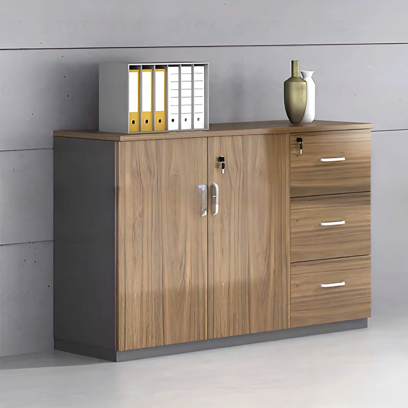 Tủ Tài Liệu Thấp 3 Ngăn 2 Cánh - THS215
