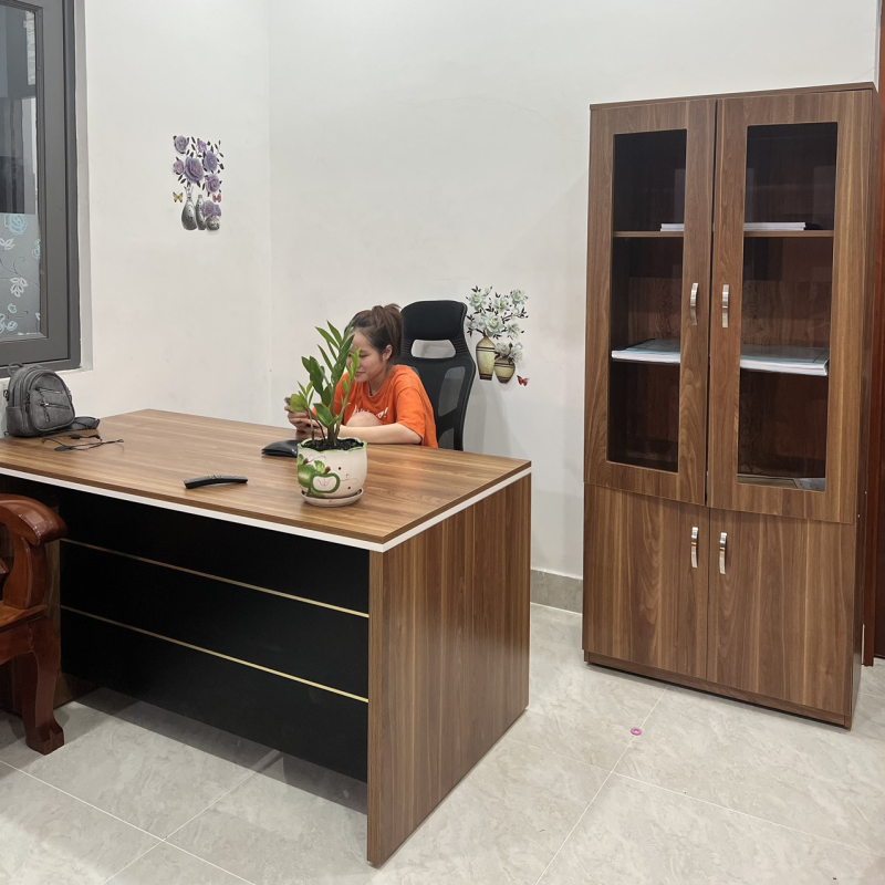 Tủ Tài Liệu Gỗ 2 Cánh Bolen - THS24