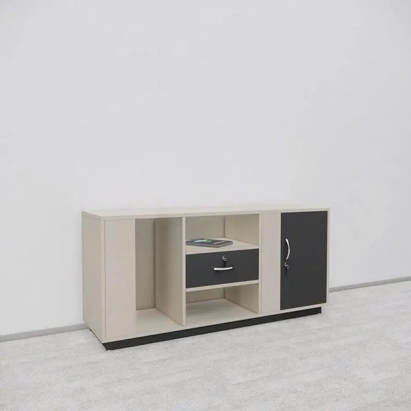 Tủ Phụ Văn Phòng Thiết Kế Hiện Đại Tủ Lưu Trữ Hồ Sơ - TP53