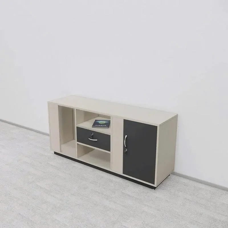 Tủ Phụ Văn Phòng Thiết Kế Hiện Đại Tủ Lưu Trữ Hồ Sơ - TP53