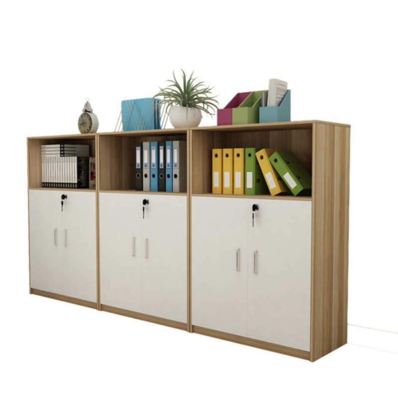 Tủ Văn Phòng Dáng Thấp Classic - THS13