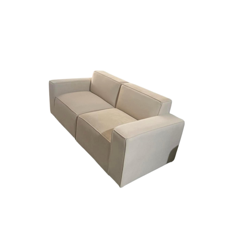 Sofa 2 Chỗ Ngồi Hiện Đại - SF31