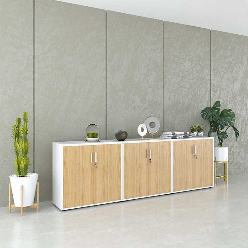 Tủ Tài Liệu Gỗ Lưu Trữ Dữ Liệu Bảo Mật - THS86
