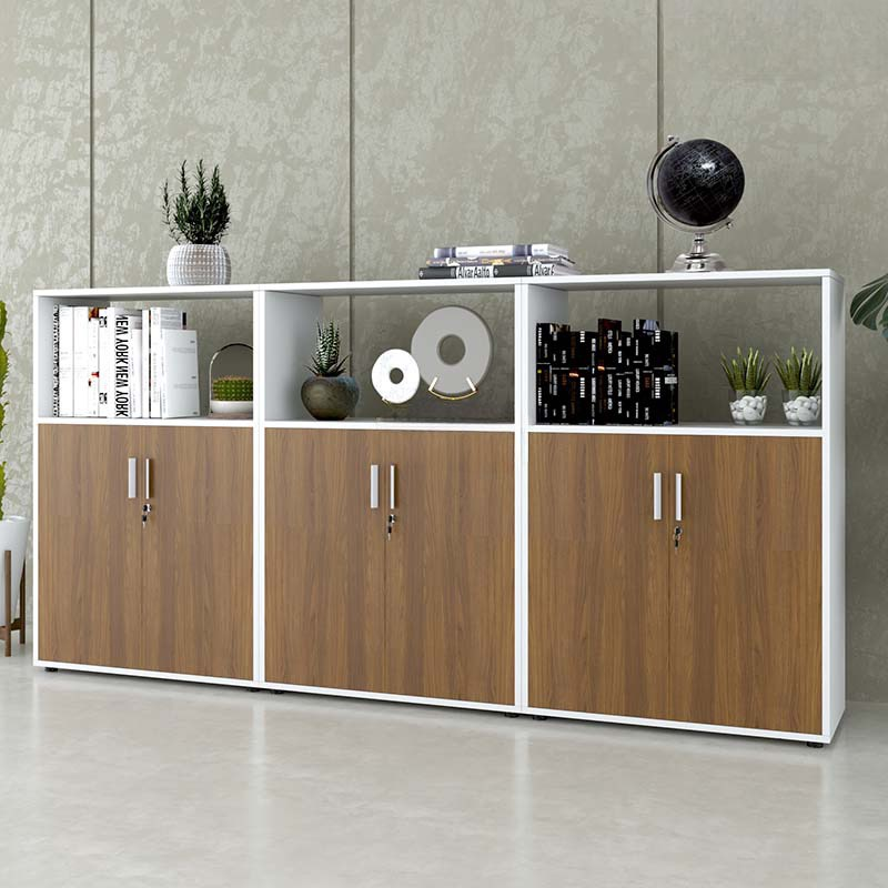 Tủ Văn Phòng Dạng Lửng Có Kệ - THS91