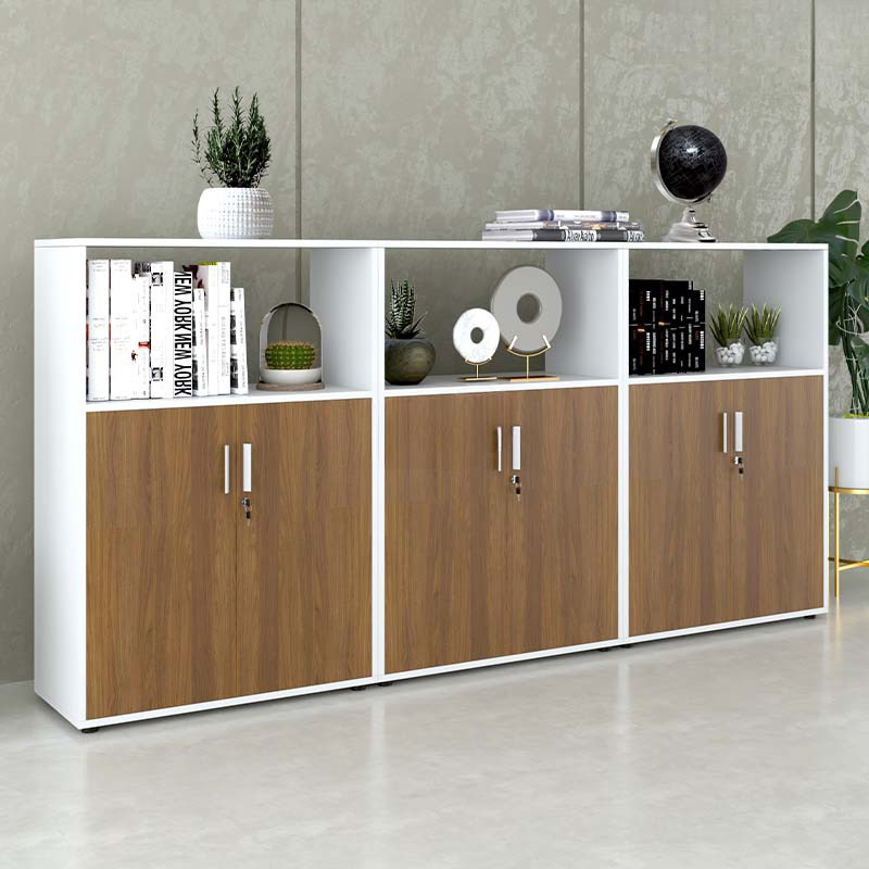 Tủ Văn Phòng Dạng Lửng Có Kệ - THS91