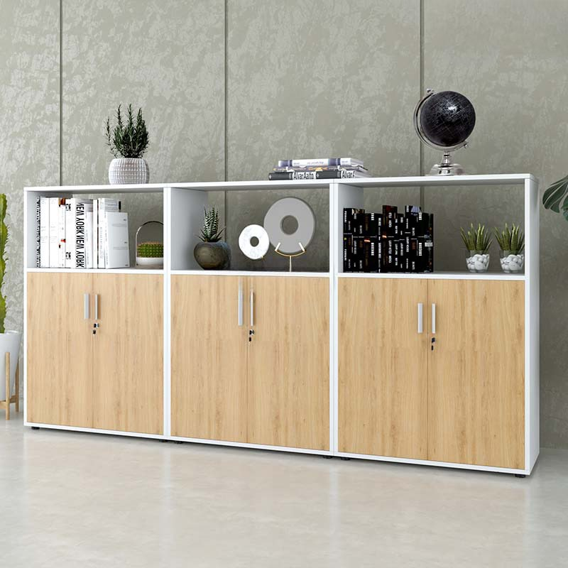 Tủ Văn Phòng Dạng Lửng Có Kệ - THS91