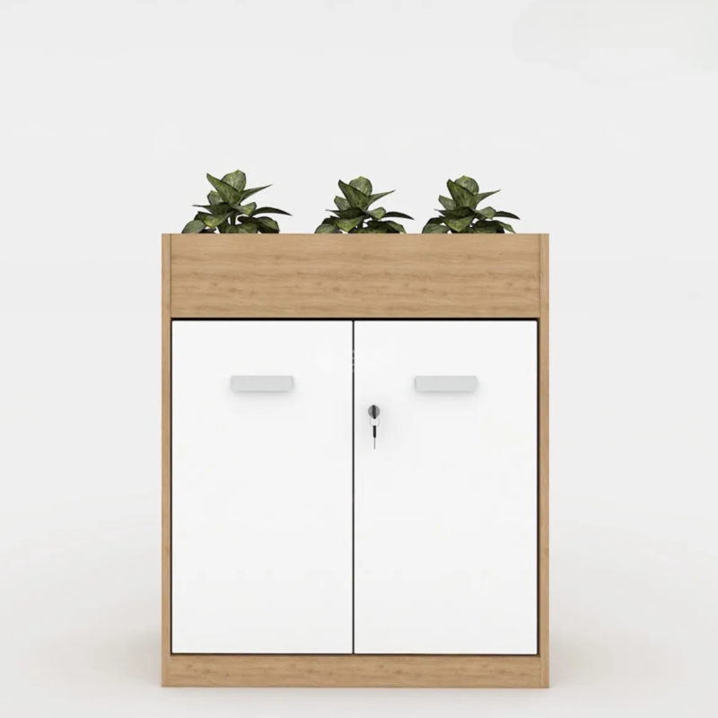 Tủ Văn Phòng Trang Trí Hiện Đại - THS102