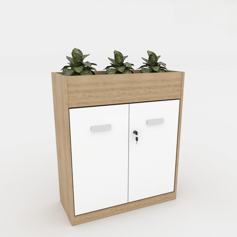 Tủ Văn Phòng Trang Trí Hiện Đại - THS102