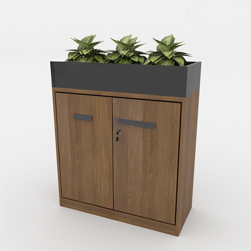 Tủ Văn Phòng Cây Xanh Trang Trí - THS106