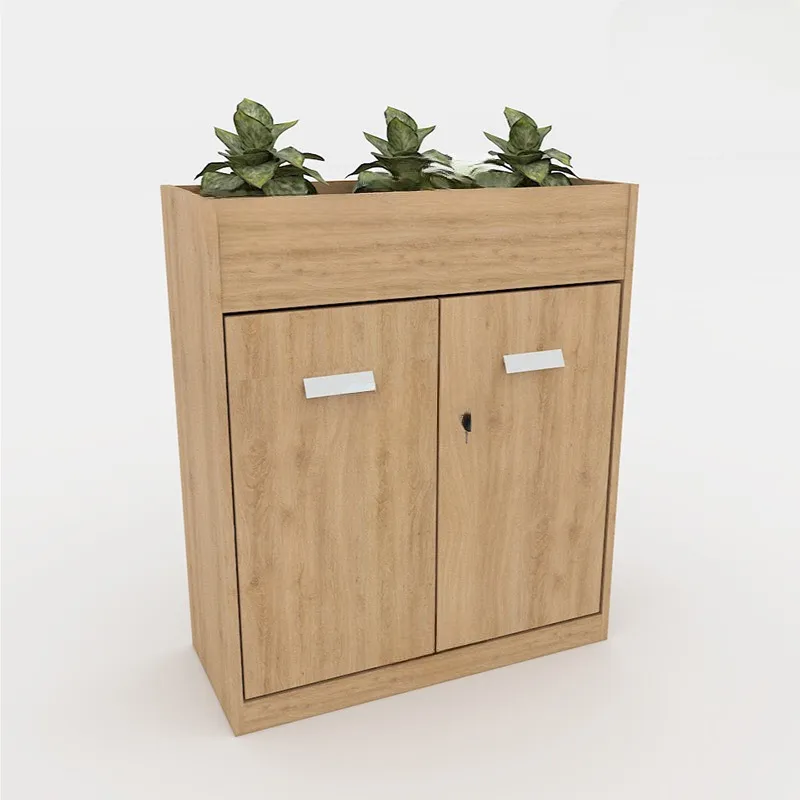 Tủ Văn Phòng Cây Xanh Trang Trí - THS106