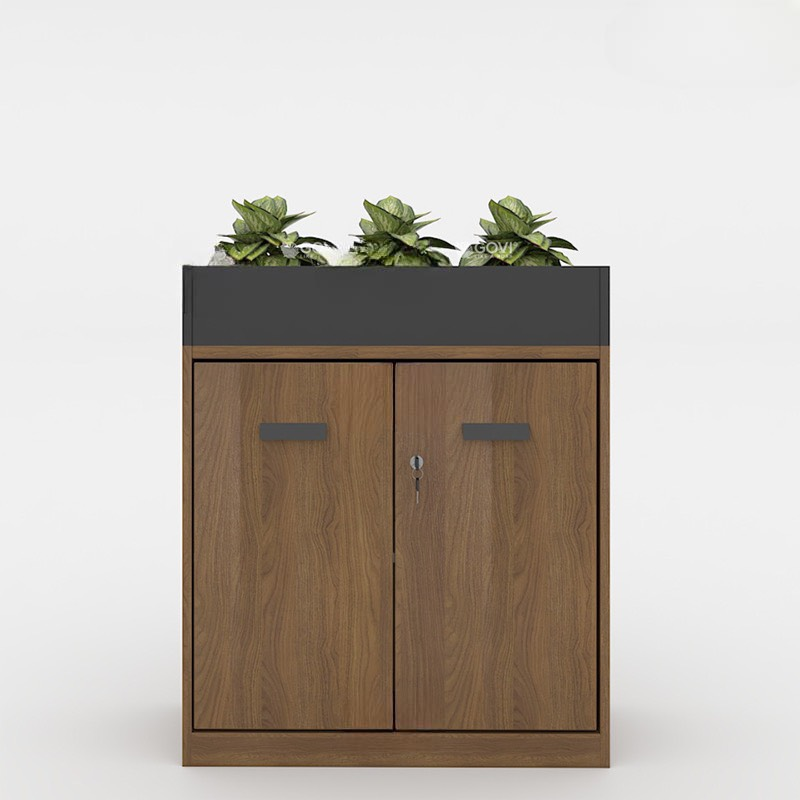 Tủ Văn Phòng Cây Xanh Trang Trí - THS106